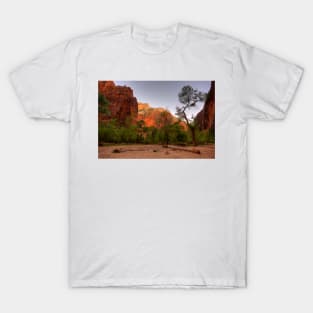 Early Morning Solitude At Zion © T-Shirt